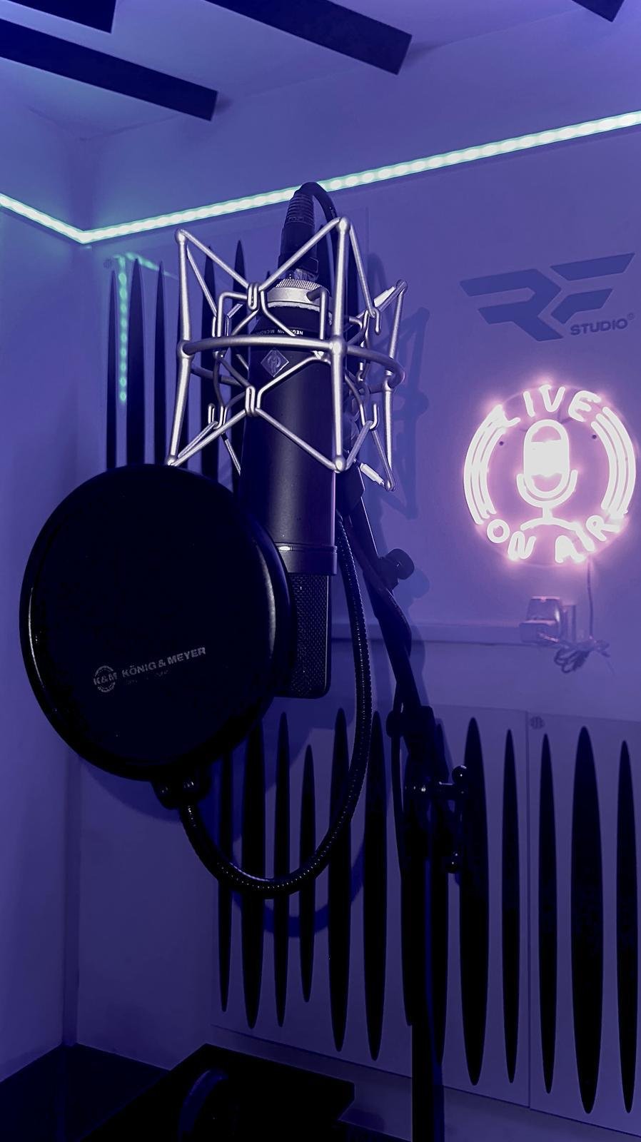 Microphone professionnel